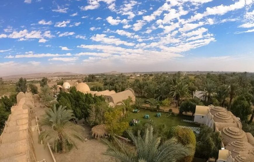 3-Days Tour in Bahariya Oasis and White Desert from Cairo