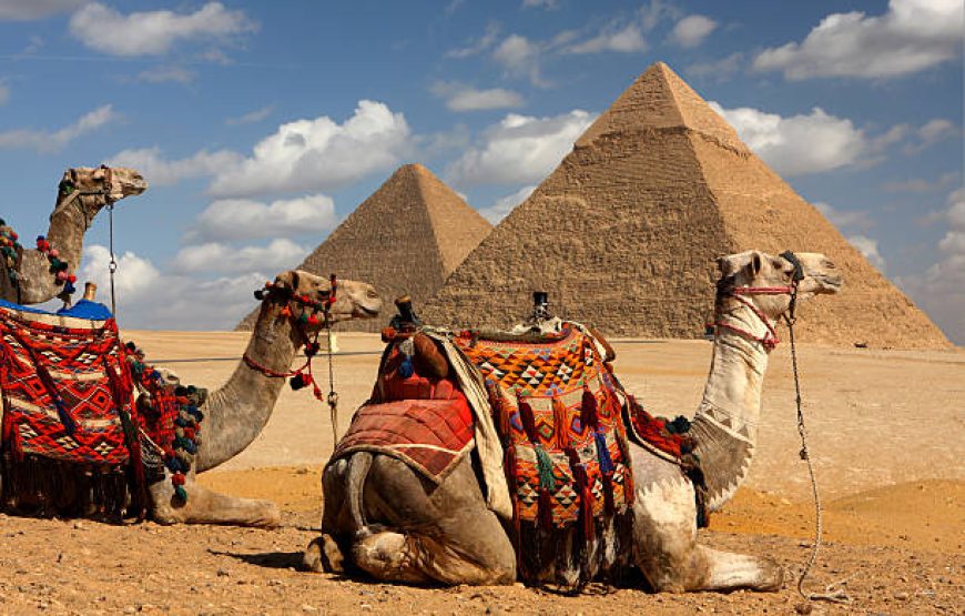 Giza Pyramids, Sakkara, Memphis and Bazaar with Lunch & Camels