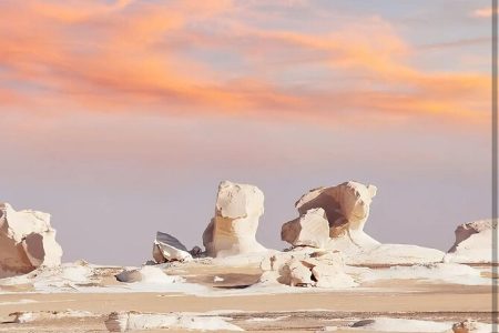 Private One Day tour to the White Desert from bahariya oasis
