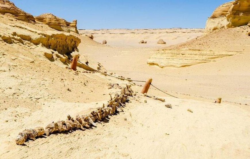 Private Day Tour To El Fayoum From Cairo