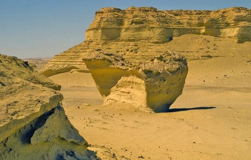Private Day Tour To El Fayoum From Cairo